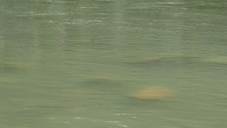 The-Ganges-River-flowing-quietly-at-Rishikesh,-India.-Vintage-filter,-close-up.