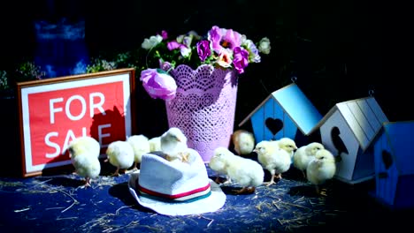 auf-dem-Stroh-auf-dem-Heu-gehen-kleine-Hühner,-Enten.-Im-Hintergrund-ein-Heuhaufen-farbige-kleine-Vogelhäuschen,-ein-Bouquet-von-Pfingstrosen.-Platte-zu-verkaufen