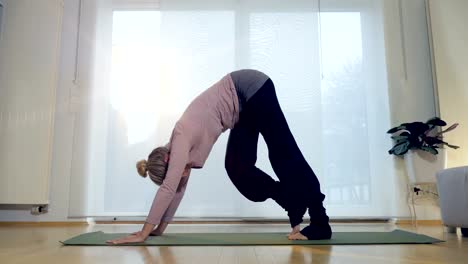 Sala-de-Yoga:-Un-pie-perro-hacia-abajo