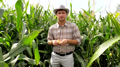 Portrait-of-Farmer-Twisting-In-The-Hand-Corn-Tries-Grains-On-Taste