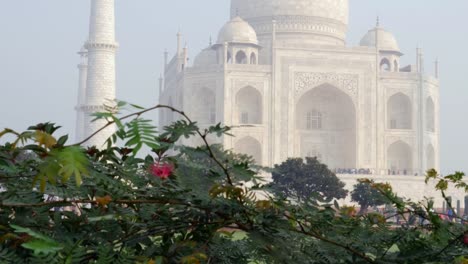 Taj-Mahal-in-India