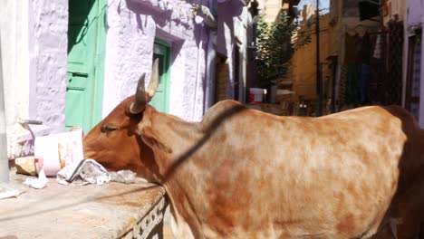 Jaisalmer-Festung,-Indien