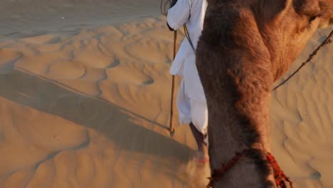 Point-of-View-of-a-ride-of-camel-in-sand-dunes-in-the-desert