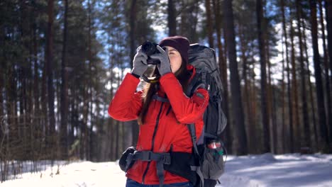 Glückliche-junge-Frau-in-einen-Winterwald-fotografieren-mit-Fotokamera.