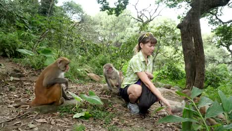 The-girl-feeds-wild-monkeys