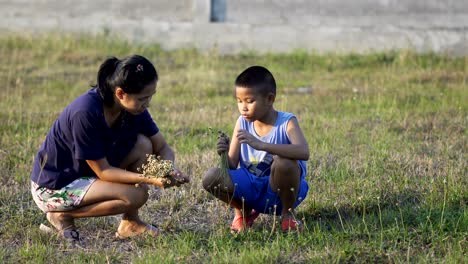 Mother-and-son-pick-flower-together.