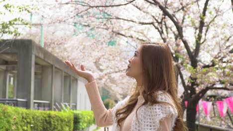 woman-and-cherry-blossom-petal-falling