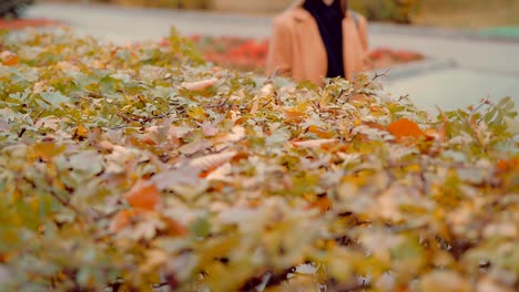 Mädchen-berührt-die-Sträucher-im-Herbst-park