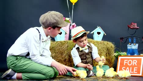 Dorf,-spielen-stilvoll-gekleidete-jungen-mit-Enten-und-Hühner.-Studio-video-mit-thematische-Dekoration.-eine-Platte-mit-Inschrift-zum-Verkauf