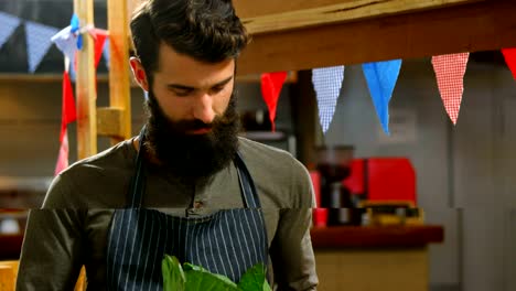 Male-staff-holding-a-cabbage