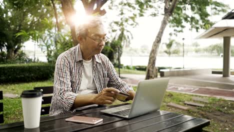 Asiatische-senior-woman-Online-shopping-mit-seinem-Notebook-im-park