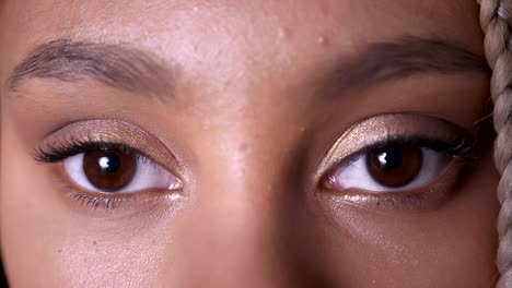 Brown-eyes-of-an-African-girl-with-dreadlocks