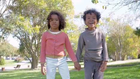 African-American-curly-Bruder-und-Schwester,-die-Hand-in-Hand-im-park