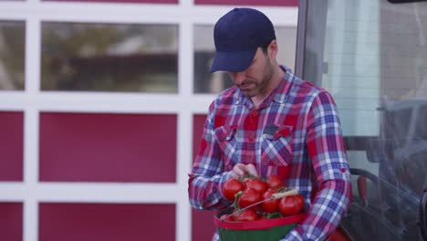 Portrait-of-farmer-with-basket-of-tomatoes