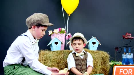 Two-village,-stylishly-dressed-boys-play-with-ducklings-and-chickens,-in-the-background-a-haystack,-colored-bird-houses,-balloons-and-flowers.-a-plate-with-an-inscription,-for-sale