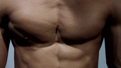 Pektoral-Muscle-Extreme-Close-Up