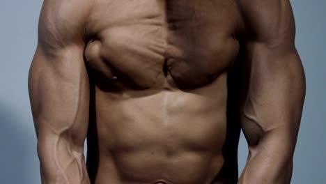 Pectoral-Muscle-Close-Up