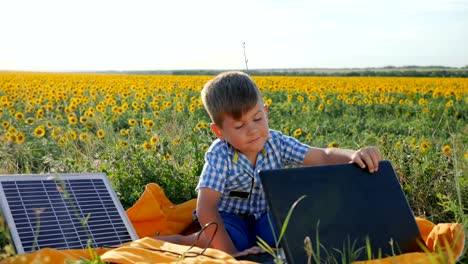 child-using-solar-battery-recharges-laptop-on-background-field-of-sunflowers,-happy-kid-looks-at-notebook-with-solar-charger