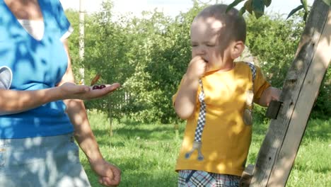 Un-chico-guapo-con-su-madre-cerca-de-cerezo.-Una-mujer-saca-piedras-y-le-da-a-su-hijo-bayas