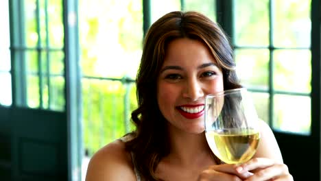 Portrait-of-beautiful-woman-having-wine-4k