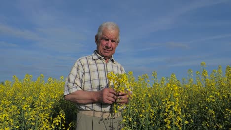 Porträt-von-einem-alten-Bauern-steht-in-einem-blühenden-gelben-Blüten.