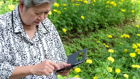 Asia-mujer-mayor-sosteniendo-el-teléfono-móvil-mientras-está-sentado-en-la-banca-en-el-jardín.-mayor-mujer-sonriendo-mientras-mensaje-mensajes-de-texto,-con-la-aplicación-de-teléfono-móvil-en-el-parque.-superar-a-smartphone-de-mayor-uso-para-conectar-con-la-gente-en-red-social-con-conexión-inalámbrica-a-internet