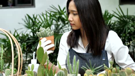 4K-lenta-de-Floreria-mujer-asiática-joven-plantación-de-cactus