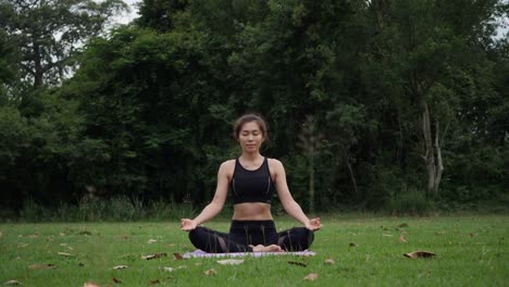 Schöne-Frau-tut-Yoga-im-Park