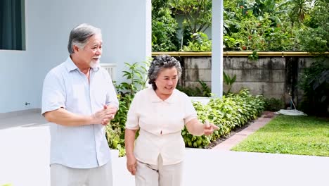 Senior-pareja-paseando-por-casa.