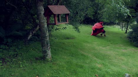 4k-Halloween-Shot-of-Red-Riding-Hood-Running-in-the-Woods