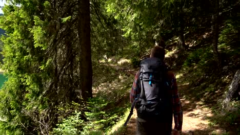 Reisende-mit-einem-Rucksack-Spaziergänge-durch-den-Wald