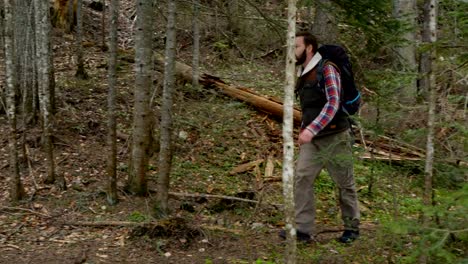 Reisende-mit-einem-Rucksack-Spaziergänge-durch-den-Wald