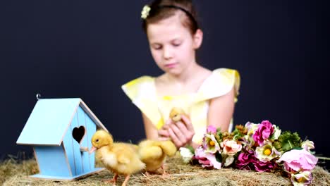 Portrait,-ein-ziemlich-kleines-Mädchen-spielen-mit-kleinen-gelben-Entenküken.-Studio-video-mit-thematischen-Dekor.-Im-Hintergrund-ein-Heuhaufen,-bunte-Vogelhäuschen-und-Blumen