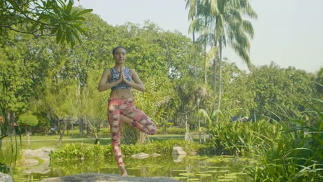 Junge-asiatische-Frau-Yoga-draußen-im-Park-machen.-Attraktive-Frau-meditieren-im-stehen-in-Yoga-Baum-Pose-in-schönen-Sonne-Licht.