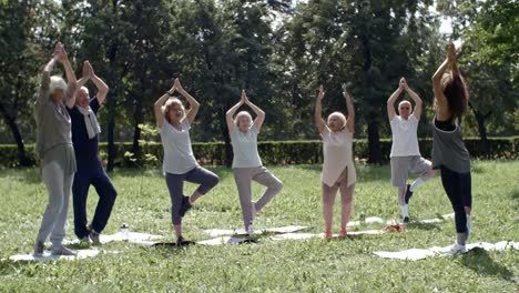 Pie-en-vriksha-asana