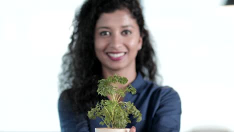 Una-hermosa-y-joven-buena-mujer-sosteniendo-a-la-pequeña-planta-verde-en-sus-manos-y-sonriendo-en-un-espacio-de-oficina-moderna