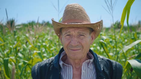 Portrait-of-an-elderly-man-in-a-straw-hat-against-the-background-of-a-cornfield.-A-farmer-on-his-land-surrounded-by-green-stems-of-grain-crops