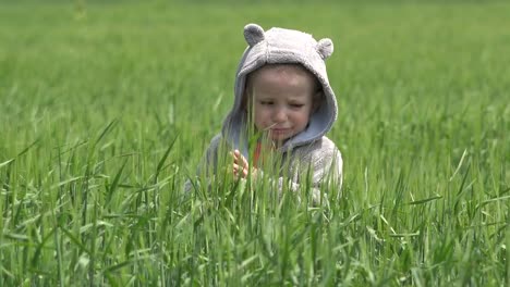 Lustige-kleine-Junge-mit-Maus-Kostüm-spielen-im-grünen-Weizenfeld-4K