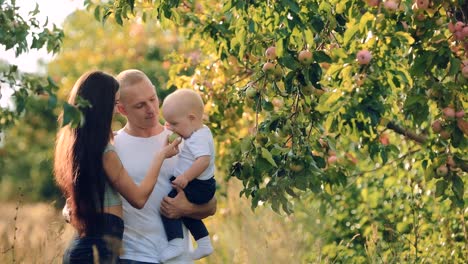 Resto-de-familia-en-el-jardín.-Madre,-padre-e-hijo-divierten-en-el-jardín-de-la-luz-del-sol-entre-los-árboles