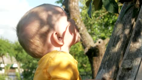 A-cute-boy-with-his-mother-near-the-cherry-tree.-A-woman-takes-out-stones-and-gives-her-son-berries