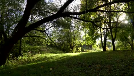 Eine-Mädchen-reitet-auf-einer-Schaukel-im-Park.