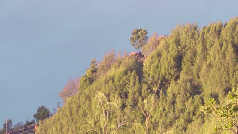 Gesichtspunkte-für-das-Ansehen-von-Sonnenaufgang-bedeckt-mit-einem-dichten-Wald-zur-goldenen-Stunde,-Bromo,-Indonesien