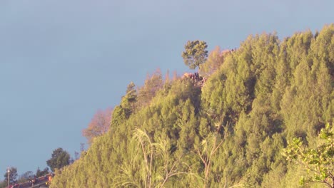 Viewpoints-for-watching-sunrise-covered-with-a-thick-forest-at-golden-hour,-Bromo,-Indonesia