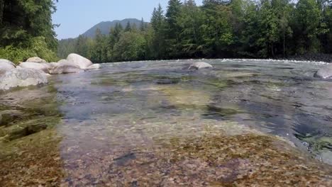 Fluss-fließt-klares-Wasser-durch-Wald