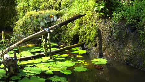 bamboo-water-fountain-at-tegallang-rice-terraces,-bali