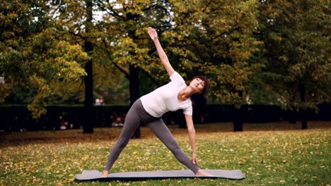 Attractive-young-woman-is-doing-yoga-outdoors-standing-on-mat-and-practising-sequence-of-asanas-Triangle-pose-and-Warrior-position-enjoying-fresh-air.