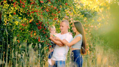 Happy-family-is-standing-near-a-tree-with-small-apples,-ranetki