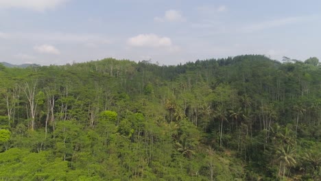 tropische-Landschaft-Regenwald-und-Berge