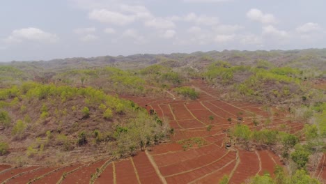 Agrarlandschaft-in-Asien