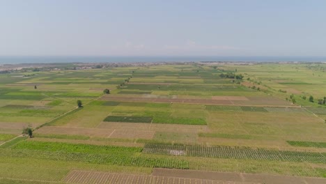 terreno-agrícola-en-indonesia